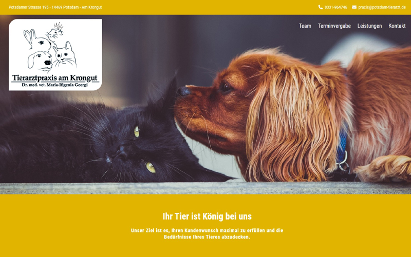 Webseite Tierarztpraxis Potsdam