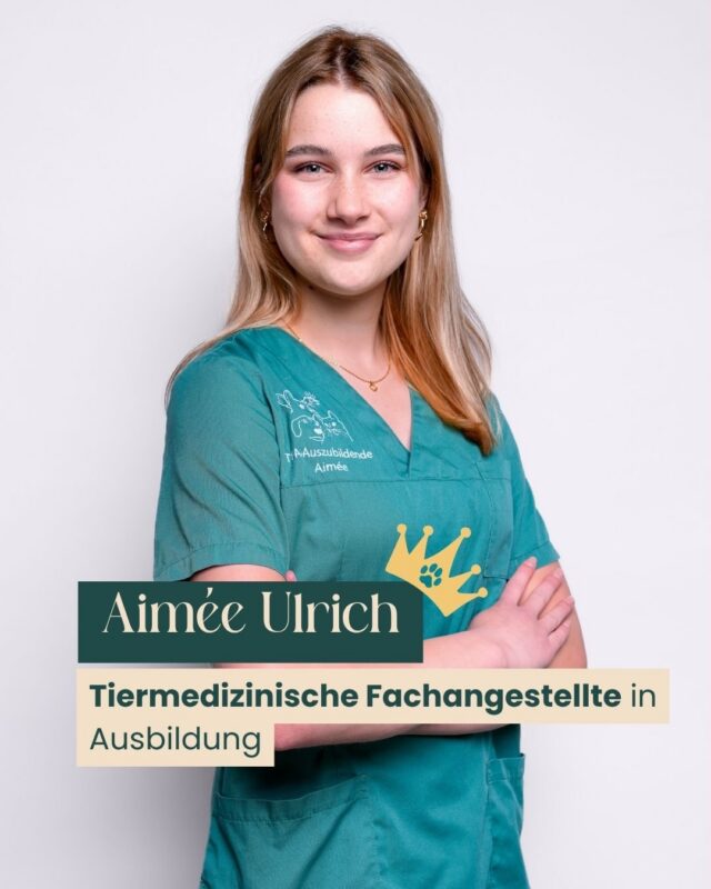 🚀Als Auszubildende zur tiermedizinischen Fachangestellten ist Aimée schon jetzt ein fester Teil unseres Teams – und aus dem Praxisalltag kaum wegzudenken.

Mit viel Engagement unterstützt sie uns als echte Allrounderin: in der Behandlungsassistenz, im Praxisablauf und überall dort, wo gerade Hilfe gebraucht wird.

Was sie besonders auszeichnet, ist ihre ruhige, aufmerksame Art im Umgang mit unseren Patienten – und ihr Blick für die kleinen Details, die im Alltag den Unterschied machen.

🐶Auch privat dreht sich bei ihr vieles um Tiere: Ihr Hund Milo begleitet sie durch ihren Alltag und sorgt dafür, dass die Verbindung zur Tiermedizin nicht nur im Beruf, sondern auch im Leben spürbar ist. 🐶💛

Für uns ist klar: Aimée bringt genau das mit, was gute Tiermedizin ausmacht – Engagement, Empathie und echtes Interesse.

Toll, dass Du bei uns bist liebe Aimée! 👑

#azubi #tierarzt #potsdam