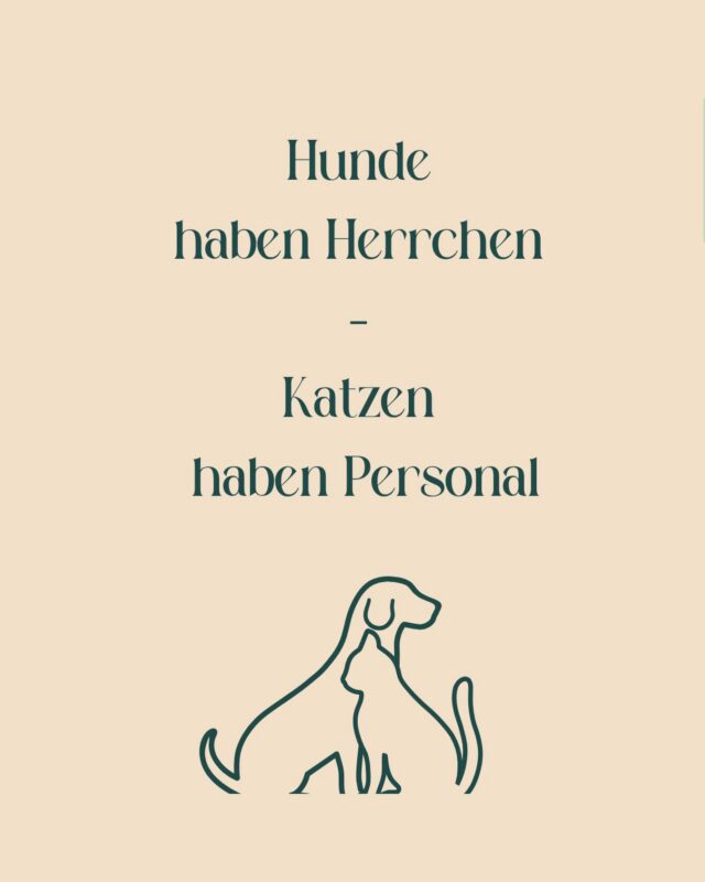 Seid ehrlich: Wer trifft bei Euch die Entscheidungen? 😄
