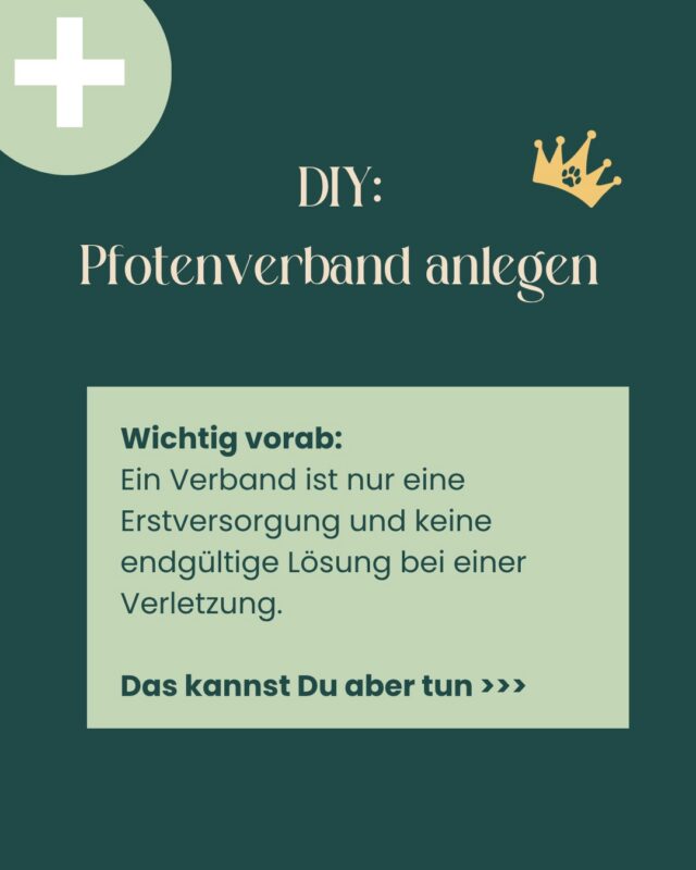 ❌Pfotenverletzungen sind im Alltag schnell passiert.
Ein Verband kann helfen, die Wunde kurzfristig zu schützen – mehr aber auch nicht.

Wichtig zu wissen:
👉 Sobald eine Wunde so ist, dass ein Verband nötig wird, sollte sie immer tierärztlich kontrolliert werden.

Denn viele Verletzungen reichen tiefer, als man von außen erkennen kann – und können sich ohne passende Behandlung schnell entzünden, manchmal stecken auch Fremdkörper in der Wunde, die sachkundig entfernt werden sollten.

1️⃣Für zuhause gilt:
Ruhe bewahren, sauber arbeiten und die Wunde gut polstern.

2️⃣Und dann: lieber einmal mehr abklären lassen.

In unserer Tierarztpraxis in Potsdam sind wir für Euch und Euer Tier da. 🐾