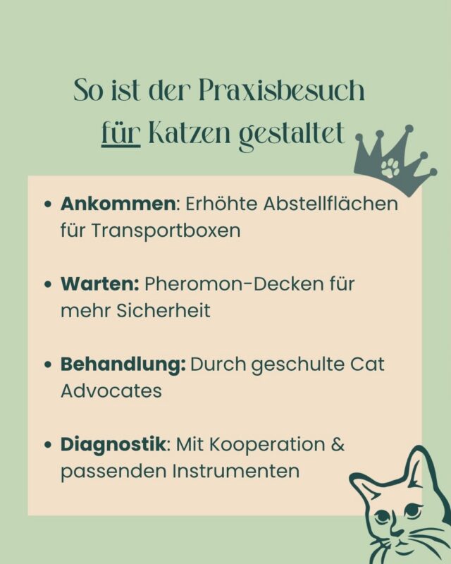 4️⃣ Dinge, die wir anders machen um Katzen den Praxisbesuch, so angenehm, wie möglich zu gestalten.

🐱 Wusstest Du, dass Katzen beim Tierarzt deutlich andere Bedürfnisse haben als Hunde?

Deshalb orientieren wir uns an den internationalen Cat-Friendly Standards der ISFM.

Das bedeutet bei uns zum Beispiel:

✔️ Ankommen: Erhöhte Abstellflächen für Transportboxen
✔️ Warten: Pheromon-Decken für mehr Sicherheit
✔️ Behandlung: Durch geschulte Cat Advocates
✔️ Diagnostik: katzenspezifische Instrumentarien

Für Menschen sind das oft kaum merbare kleine Details.

Für Katzen können genau diese Kleinigkeiten den Unterschied zwischen Panik und Vertrauen machen.

💛 Deshalb nehmen wir die Bedürfnisse unserer Samtpfoten besonders ernst.

🐾 Ihr sucht einen Tierarzt in Potsdam? In der Tierarztpraxis am Krongut begleiten wir mit moderner Tiermedizin, viel Zeit und einem Blick fürs Ganze.