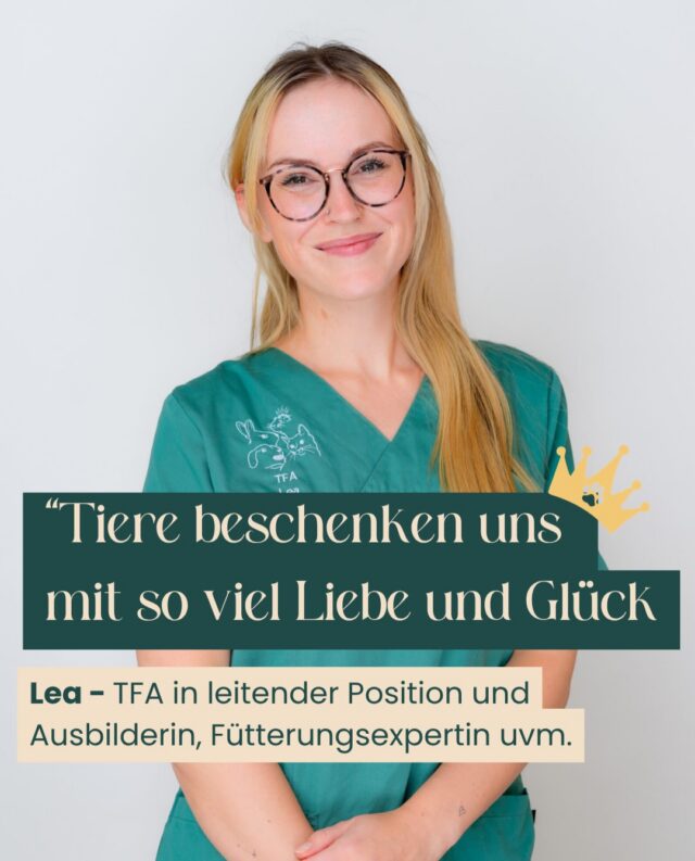 Tiere begleiten Lea schon ihr ganzes Leben. Aufgewachsen mit Hunden, Katzen, Kaninchen und Pferden, war für sie früh klar: Ein Leben ohne Tiere kann sie sich nicht vorstellen. Heute gehören  Hunde und Katzen ganz selbstverständlich zu ihrer Familie.

🎓 Neugier und der Wunsch, Tiere noch besser zu verstehen, führten sie 2019 zu einem Studium in Tierpsychologie. Besonders die Verhaltens- und Haltungsberatung liegen ihr am Herzen. Denn oft beginnt gute Tiermedizin schon damit, das Verhalten eines Tieres richtig einzuordnen und Tierhaltende zu sensibilisieren und anzuleiten.

💛 Ihre größte Leidenschaft in der Praxis? Der OP.

Bei der OP-Assistenz und dem Narkosemonitoring begleitet sie unsere Patienten durch einen besonders sensiblen Moment. Hier sind Aufmerksamkeit, Präzision und Teamarbeit gefragt – damit sich jedes Tier sicher aufgehoben fühlen darf.

Stillstand gibt es für Lea nicht. Regelmäßige Fortbildungen gehören für sie selbstverständlich dazu. Denn gute Tiermedizin lebt davon, immer weiter zu lernen, Wissen zu teilen und gemeinsam jeden Tag das Beste für unsere kleinen und großen Patienten zu geben.

🐾 Vielen Dank, liebe Lea, für Deine Leidenschaft, Dein Fachwissen und Dein großes Herz für Tiere.