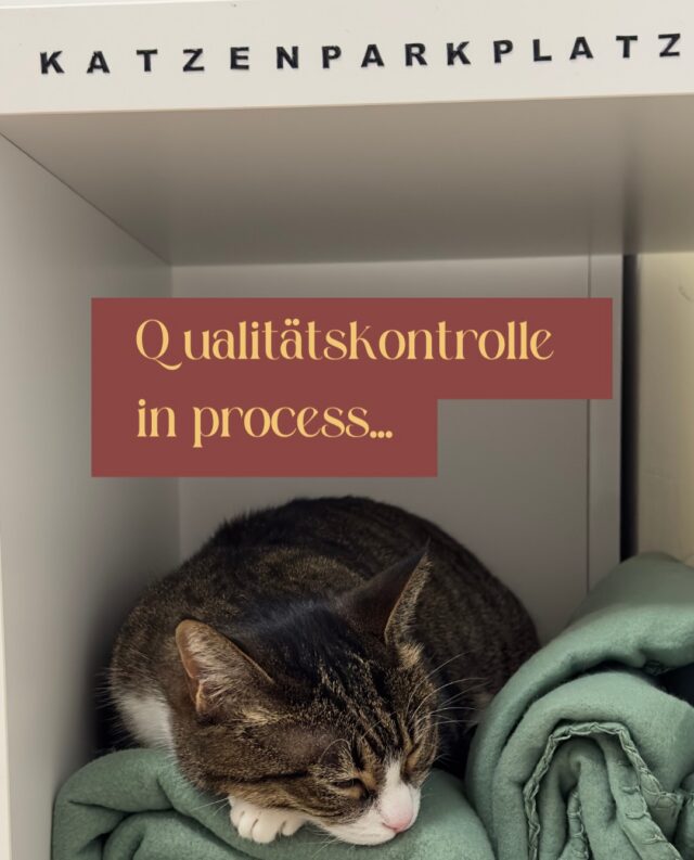 👑 Vertrauen ist gut, Kontrolle ist wichtig.

Deshalb überprüft Fiona regelmäßig die Qualität unserer Kuscheldecken.

In diesem Fall sogar über mehrere Stunden hinweg.

Gründlichkeit ist schließlich key.

🐾 Tierarztpraxis am Krongut in Potsdam – mit Herz, Verstand und moderner Tiermedizin für Hunde, Katzen und Heimtiere. Termine könnt Ihr direkt bei uns in der Praxis oder online vereinbaren.
