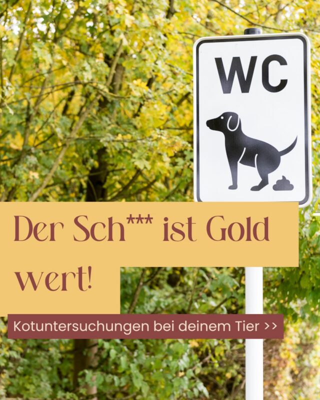💩 Nicht besonders glamourös. Aber manchmal ausgesprochen aufschlussreich.

Warum Kotuntersuchungen zu den wichtigsten Untersuchungen in der Tiermedizin gehören.

Viele Parasiten, Verdauungsstörungen oder Erkrankungen des Magen-Darm-Trakts zeigen sich nicht immer sofort durch eindeutige Symptome. Manche Tiere wirken völlig gesund – andere leiden unter wiederkehrendem Durchfall, Erbrechen, Gewichtsverlust oder Veränderungen des Appetits.

Eine Kotuntersuchung kann dabei helfen,

✔️ Würmer und andere Darmparasiten nachzuweisen
✔️ die Ursache von Durchfall abzuklären
✔️ die Darmgesundheit besser einzuschätzen
✔️ Verdauungsprobleme genauer zu untersuchen
✔️ den Behandlungserfolg zu kontrollieren

💛 Je nach Fragestellung reicht manchmal bereits eine kleine Kotprobe aus, um wichtige Hinweise auf die Gesundheit Eures Tieres zu erhalten.

Für einige Untersuchungen empfehlen wir jedoch Sammelkotproben über mehrere Tage. Dadurch können bestimmte Parasiten zuverlässiger nachgewiesen werden.

Und auch ein unauffälliger Befund ist eine wertvolle Information.

Er hilft dabei, mögliche Ursachen einzugrenzen und die nächsten diagnostischen Schritte gezielt zu planen.

🐾 Gute Tiermedizin bedeutet oft, viele kleine Puzzleteile zusammenzufügen. Die Kotuntersuchung ist eines davon – manchmal für die Vorsorge, oft aber auch zur gezielten Abklärung von Beschwerden.